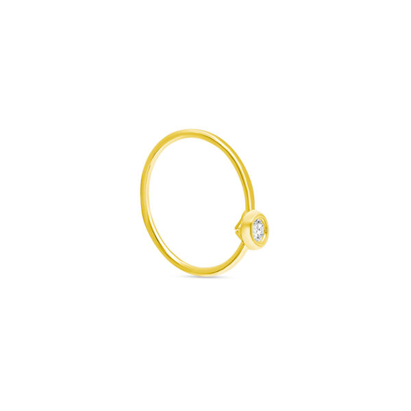 Nose Hoop 2mm Bezel