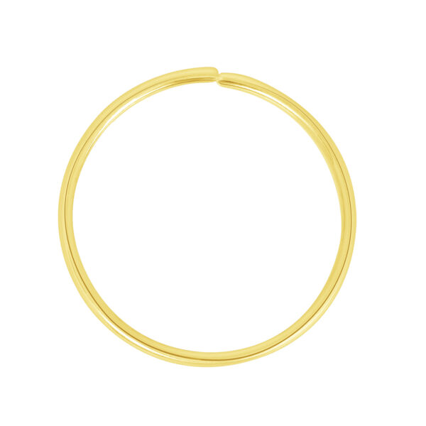 Nose Lg Plain Hoop Piercing