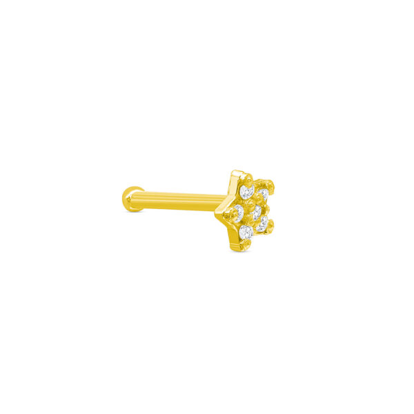 Cz Star Nose Bone