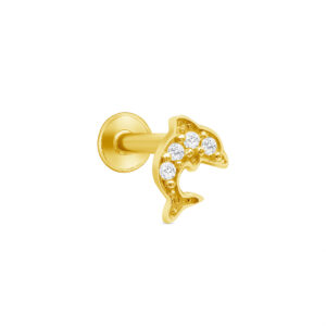 Cz Dolphin Cartilage