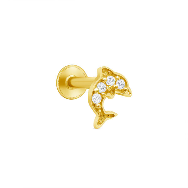 Cz Dolphin Cartilage
