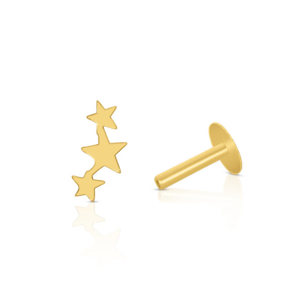 Thrice Star Cartilage