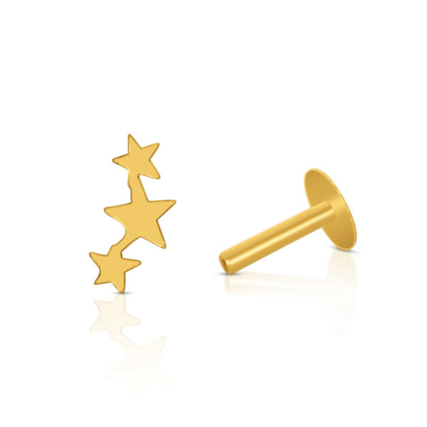 Star Comet Cartilage